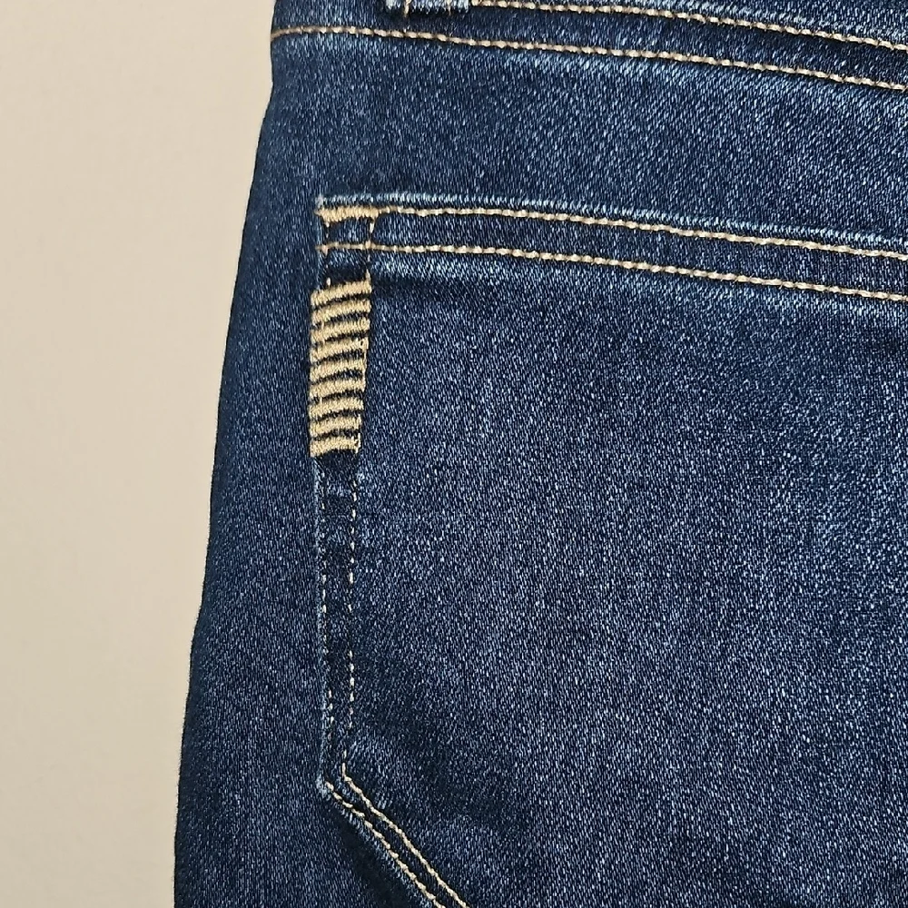 PAIGE chic indigo